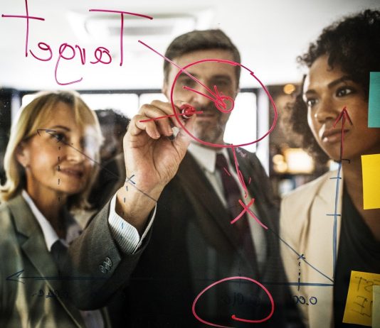 Guide To The Role Of Project Managers In Businesses